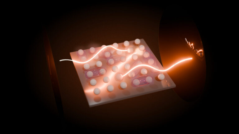 FAU LMQ Research Spotlight: Picky light – how light ignores interactions of matter