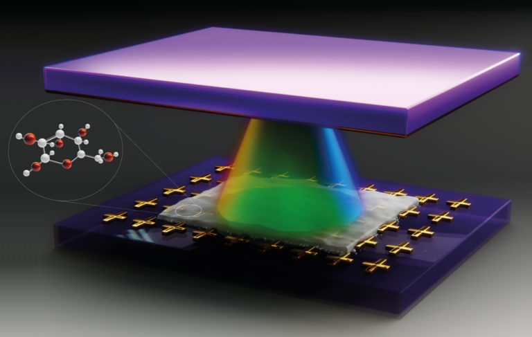 FAU LMQ Research Spotlight: Strong light-matter coupling with sugar-coated metamaterials