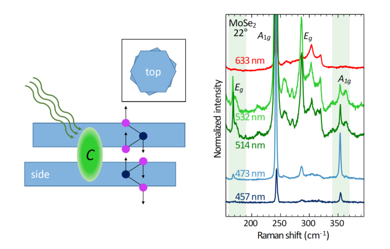 FAU LMQ Research Spotlight: Interlayer Raman modes in twisted bilayer TMDCs