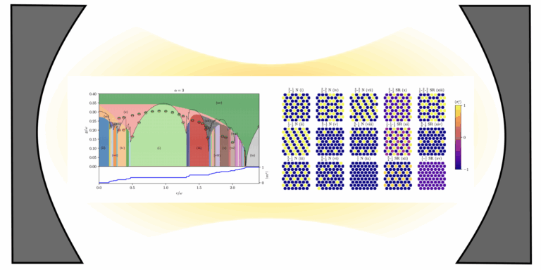 FAU LMQ Research Spotlight: Coupling long-range interacting matter to a light mode