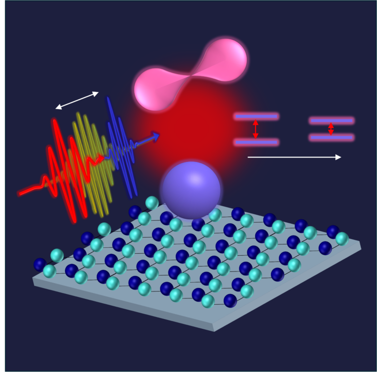 FAU LMQ Research Spotlight: Tracking hidden excitonic states with ultrafast light